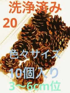 ❤️松ぼっくり❤️20 10個入り色々サイズ3〜6cm位