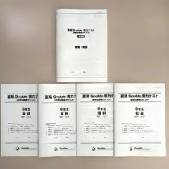 グノーブル 基礎力テスト4年算数 - メルカリ