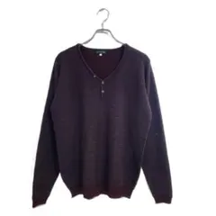 Tesoro Mio ニット XL ワインレッド Vネック ボタンデザイン 秋冬