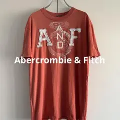 k*を様 Abercrombie & Fitch A&F Tシャツ L
