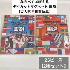 \最安値/【匿名配送】ならべておぼえるダイカットマグネット 国旗【2個】知育玩具のサムネイル