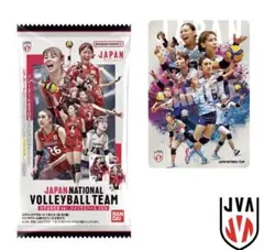 JAPAN NATIONAL VOLLEYBALL TEAM 女子日本代表ver