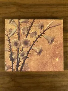 2025年最新】黒夢 迷える百合達の人気アイテム - メルカリ