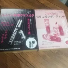 VOCE３月号 付録一部