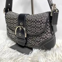 美品✨COACH ワンショルダーバック SOHO レザー シグネチャー 黒