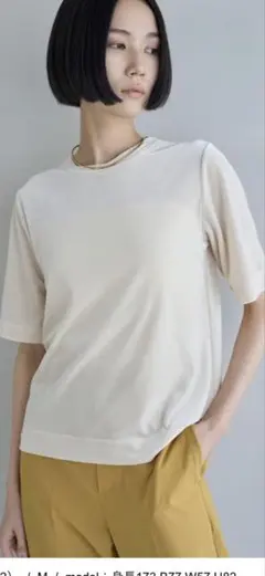 アンフィーロ　ストレッチ ベロアＴシャツ　クリーム　Mサイズ