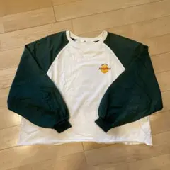 Item thumbnail for item 3165ea96-7206-4041-a8a7-df81b20407bb