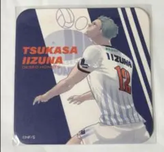 2025年最新】飯綱掌 vリーグの人気アイテム - メルカリ