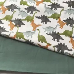 オックス　恐竜　無地　合計約160cm