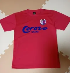 Item thumbnail for item c4c27e2b-525f-41e7-b862-11a94fdabb35