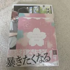 マスク男子は恋したくないのに