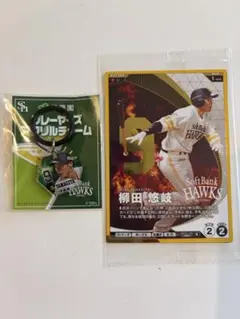 ソフトバンクホークス 伊藤園 柳田悠岐 プレーヤーズアクリルチャーム カード