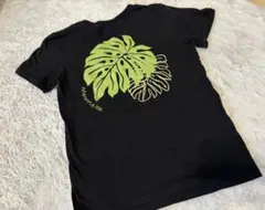 Maunaloa モンステラ Tシャツ 黒　レディースS
