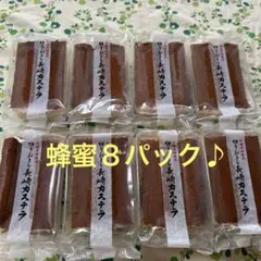 長崎切り落としカステラ 6種8パック - メルカリ
