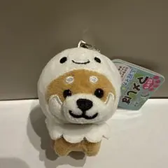 旅するマメしば 函館イカ ぬいぐるみ マスコット