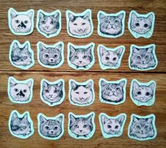 Item thumbnail for item 4a73eb8d-df50-4393-a8fb-b925b755303c