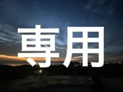 専用です