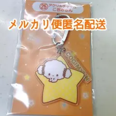 【おまけ付き】サンリオキャラクター大賞　くじ　こぎみゅん