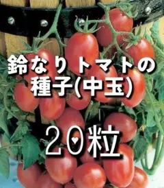 ST様 リクエスト 3点 まとめ商品