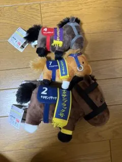 探し中様　専用