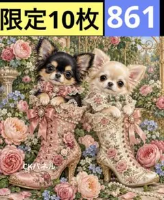 限定10枚！　犬 レアパネル生地　無くなり次第終了です