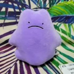 ポケットモンスター　いろんなおかおぬいぐるみ～メタモン～