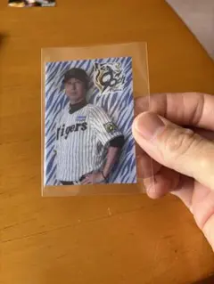 Item thumbnail for item 618f7a5d-810f-48cd-928a-49102e505b8c