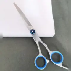 Item thumbnail for item 456c77c6-d354-4721-80fd-03551cfee579