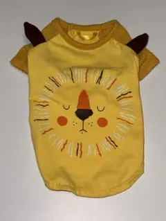 Item thumbnail for item 40e273d5-ed12-47ae-82cc-1458658ac58a