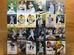 阪神タイガース BBM ルーキーカード まとめ売り