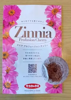 サカタのタネ　ジニアのサムネイル