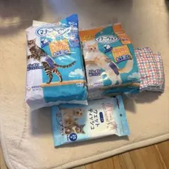 Item thumbnail for item 89cbf478-7b5d-4fd8-bf74-36edca580f62