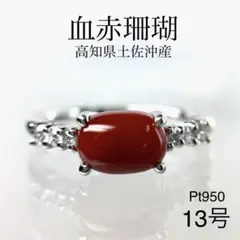 2025年最新】血赤珊瑚 1 mmの人気アイテム - メルカリ