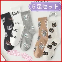 春新品 黒猫柄靴下 5足セット レディース かわいい ソックス おしゃれ 韓国