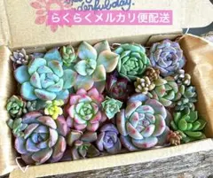 K様 リクエスト 3点 まとめ商品