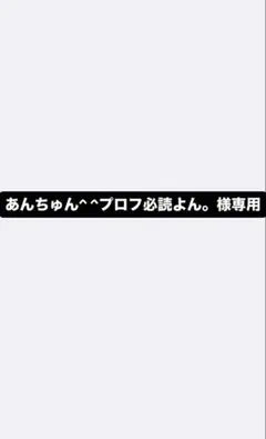 あんちゅん^ ^プロフ必読よん。様専用ページ