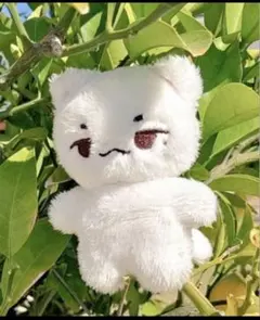 2026年最新】seventeen ウジ ぬいぐるみの人気アイテム - メルカリ