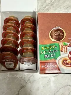 アイスクリームに！バンホーテン チョコレートシロップ ポーション 30g