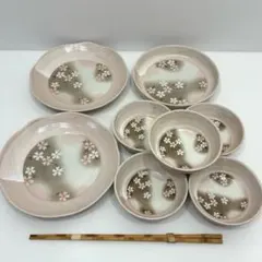 【未使用】 美濃焼 食器セット 大皿 盛皿 小鉢 竹トング 桜柄 花柄 ピンク