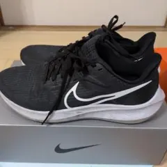 Nike ペガサス39