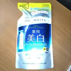 Item thumbnail for item e9ce6b70-02e8-4c24-b520-391ec0788407