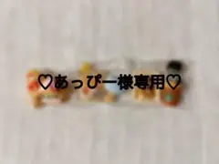 ♡あっぴー様専用♡
