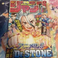 ドクターストーン最終話切り抜き センターカラー切り抜き5枚 週刊少年