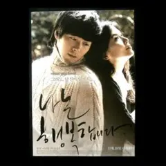 ヒョンビン◆私は幸せです 2009年 韓国版 映画チラシのサムネイル