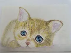 色鉛筆手書き猫イラスト「待ってるね」