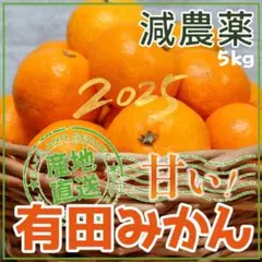 ▲★農家直送★ 甘い和歌山 減農薬 有田みかん 5kg3112