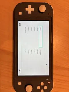 Nintendo Switch Lite グレー 本体
