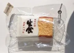 Item thumbnail for item 98784348-9f5c-45db-bf77-ee5a57a71a68