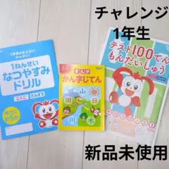 チャレンジ 進研ゼミ まんが漢字辞典 1年生 新品 テスト100点問題集 ドリル