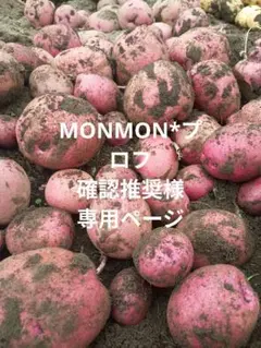 2026年最新】Monmoの人気アイテム - メルカリ